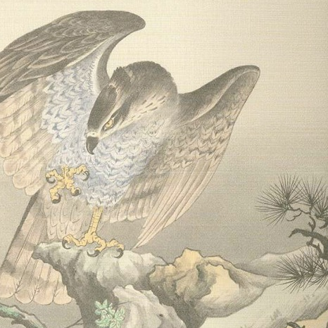 戸建高級品 糸入(織物)